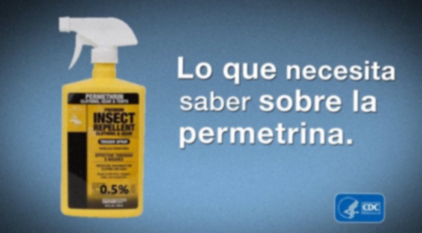permetrina crema